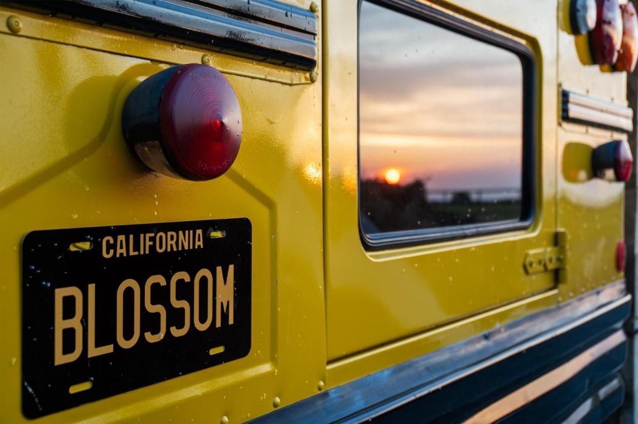 American School Bus - 1 Bedroom - Blossom Farm - Tiers Cross Johnston Экстерьер фото